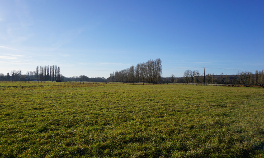 calque vert